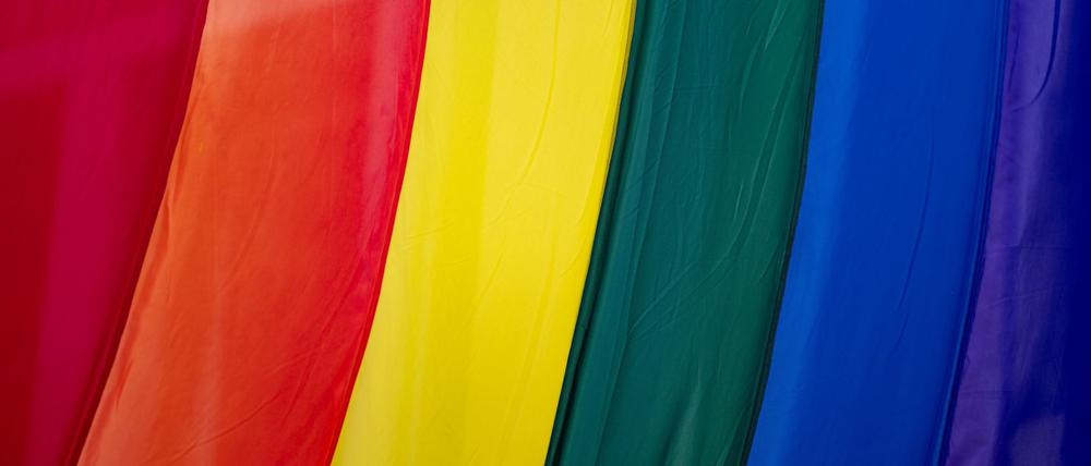 Etwa 1.000 Menschen werden zur Pride Parade in Marzahn erwartet. (Archivbild)