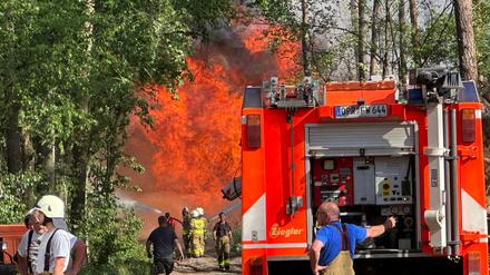 Die Feuerwehr bekämpft einen Waldbrand in Schönberg im Landkreis Ostprignitz-Ruppin. 