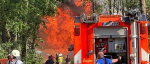 Die Feuerwehr bekämpft einen Waldbrand in Schönberg im Landkreis Ostprignitz-Ruppin. 