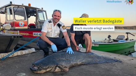 Die Polizei hat ein Foto des erlegten Riesenwels veröffentlicht.