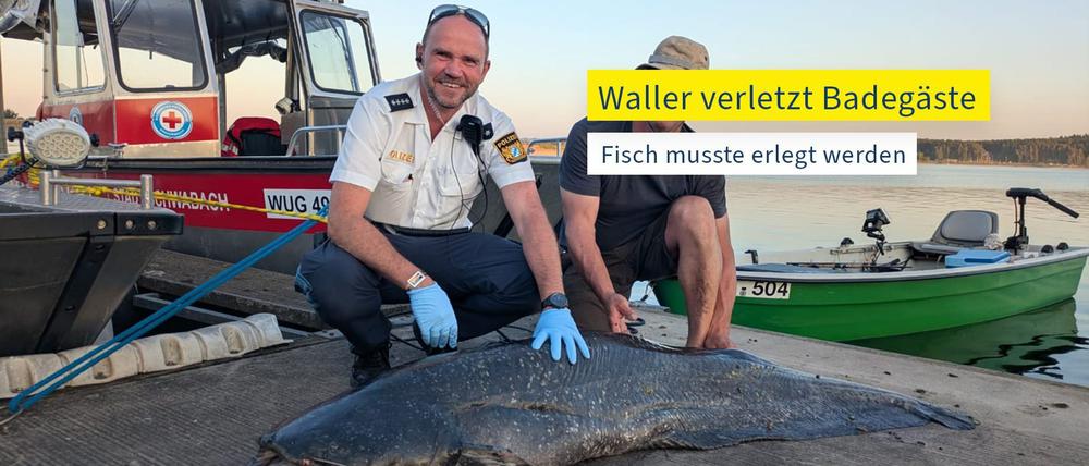 Die Polizei hat ein Foto des erlegten Riesenwels veröffentlicht.