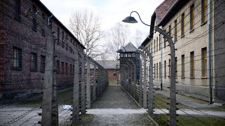 Stacheldrahtbarrieren zeugen im ehemaligen KZ Auschwitz vom bestialischen Alltag.