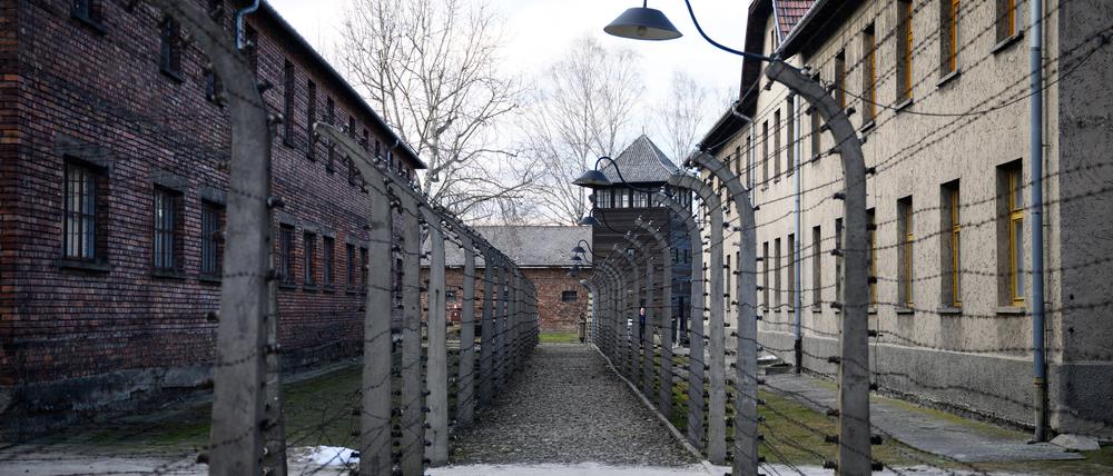 Stacheldrahtbarrieren zeugen im ehemaligen KZ Auschwitz vom bestialischen Alltag.