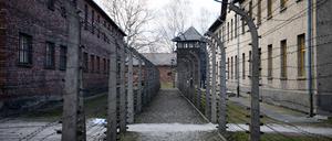ARCHIV - 27.01.2025, Polen, Oswiecim: Zahlreiche Gebäude und Stacheldrahtbarrieren stehen im ehemaligen deutschen Konzentrationslager Auschwitz. Besuche in der Gedenkstätte für die NS-Opfer sind oft Teil von Schulprojekten zur Demokratiebildung. (zu dpa: «Komitee kritisiert rechtsextreme Geste in KZ-Gedenkstätte») Foto: Bernd von Jutrczenka/dpa +++ dpa-Bildfunk +++