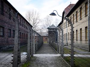 ARCHIV - 27.01.2025, Polen, Oswiecim: Zahlreiche Gebäude und Stacheldrahtbarrieren stehen im ehemaligen deutschen Konzentrationslager Auschwitz. Besuche in der Gedenkstätte für die NS-Opfer sind oft Teil von Schulprojekten zur Demokratiebildung. (zu dpa: «Komitee kritisiert rechtsextreme Geste in KZ-Gedenkstätte») Foto: Bernd von Jutrczenka/dpa +++ dpa-Bildfunk +++