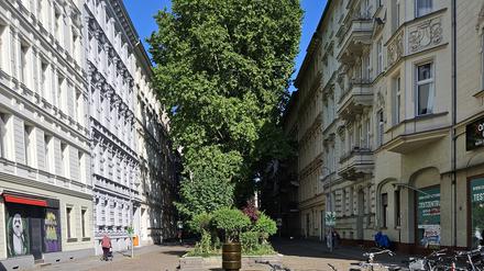 Die Nollendorfstraße in Schöneberg.