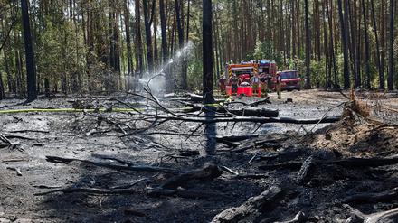 Ein Waldbrand in Lindow bei Neuruppin hat zu einem stundenlangen Feuerwehreinsatz geführt.