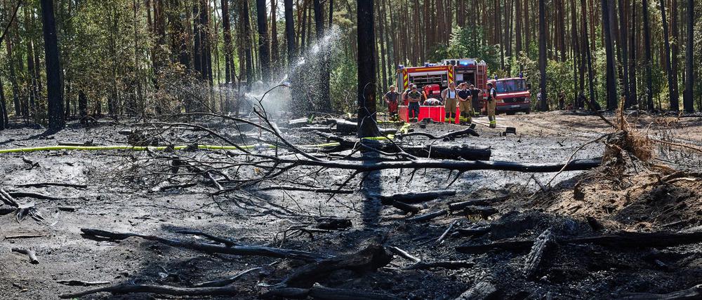 Ein Waldbrand in Lindow bei Neuruppin hat zu einem stundenlangen Feuerwehreinsatz geführt.