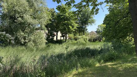 Dorfanger Bohnsdorf