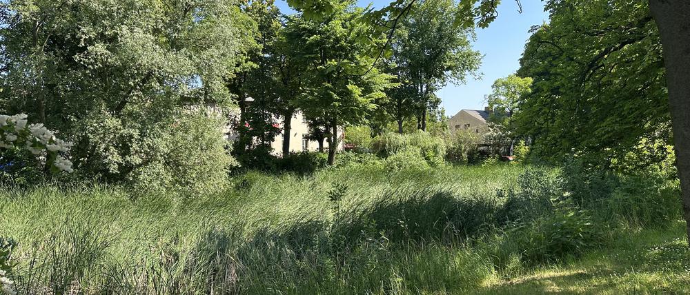Dorfanger Bohnsdorf