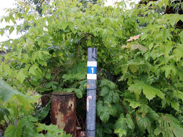 Eine kleine „1“ an einem Pfeiler mitten in den Büschen markiert den Startpunkt.