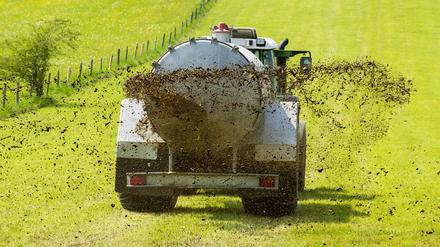 Die übermäßige Ausbringung von Gülle und Dünger in der Landwirtschaft gilt als Hauptursache für die hohen Nitratwerte im Grundwasser.