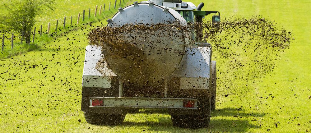 Die übermäßige Ausbringung von Gülle und Dünger in der Landwirtschaft gilt als Hauptursache für die hohen Nitratwerte im Grundwasser.