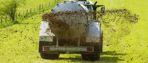 Die übermäßige Ausbringung von Gülle und Dünger in der Landwirtschaft gilt als Hauptursache für die hohen Nitratwerte im Grundwasser.