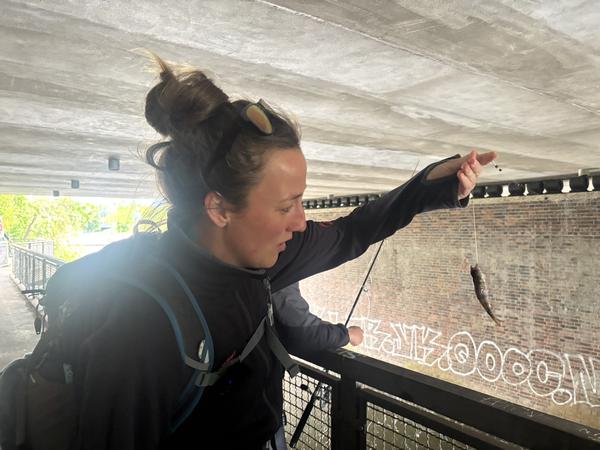 Ultramarsch Spreeweg 1 von Berlin Erkner nach Staaken