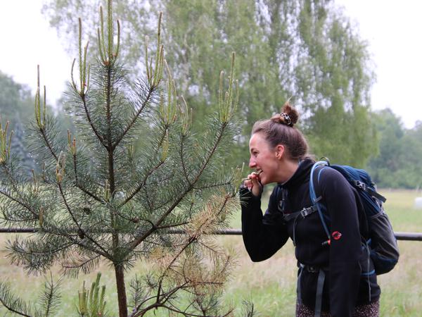 Ultramarsch Spreeweg 1 von Berlin Erkner nach Staaken