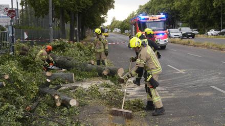 Am Eingang des Willy Sänger Sportplatz wurde durch eine Sturmböhe eine alte Eiche auf die Fahrbahn der Köpenicker Landstraße gelegt.