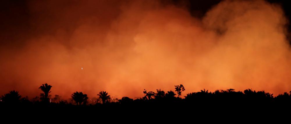 Rauchschwaden bei einem Feuer in einem Gebiet des Amazonas-Regenwaldes (Symbolbild)
