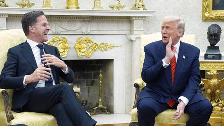 US-Präsident Donald Trump trifft sich mit Nato-Generalsekretär Mark Rutte im Oval Office des Weißen Hauses (Symbolbild).