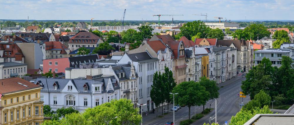 Seit Jahren ist es in der Region um Cottbus zu trocken. (Archivbild)
