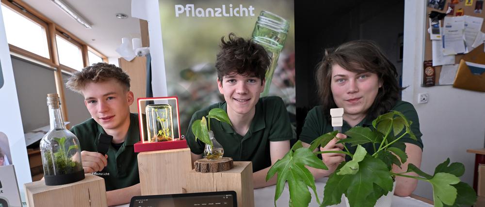 Bruno Schlimsog, Nico Knauer und Moritz Pollack von der Schülerfirma „PflanzLicht“ aus der Lenné-Schule Potsdam.
