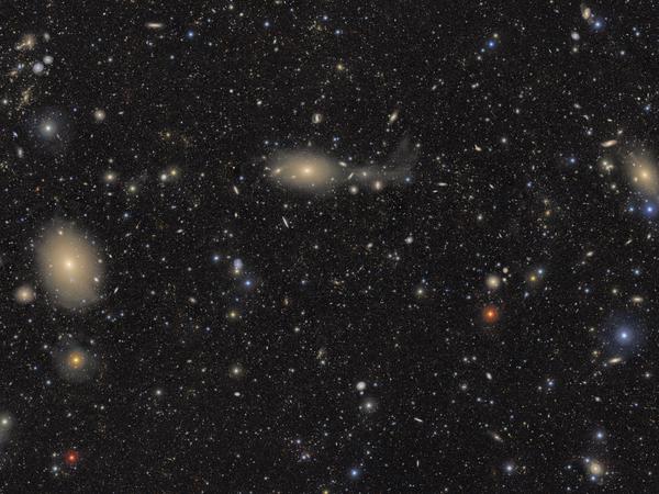 Made from over 1100 images captured by NSF-DOE Vera C. Rubin Observatory, this image contains an immense variety of objects, demonstrating the broad range of science Rubin will transform with its 10-year Legacy Survey of Space and Time. The image includes about 10 million galaxies, roughly .05% of the approximately 20 billion galaxies Rubin Observatory will capture over the next decade. Credit: NSF–DOE Vera C. Rubin Observatory
