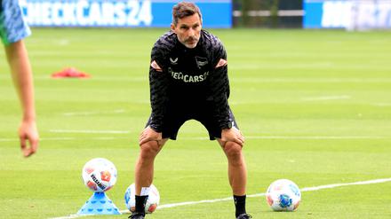 Stefan Leitl ist mit den aktuellen Bedingungen bei Hertha BSC durchaus zufrieden.