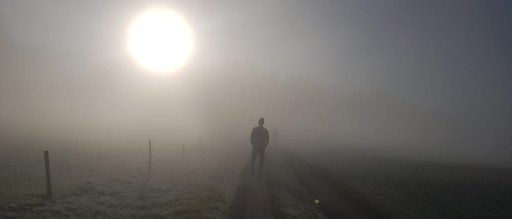 Benedict Jung bei einem Spaziergang durch die nebelverhangene Schweizer Landschaft.