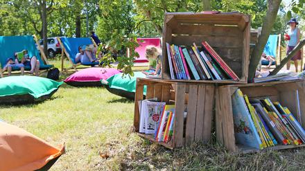 Bücherpicknick im Potsdamer Volkspark.