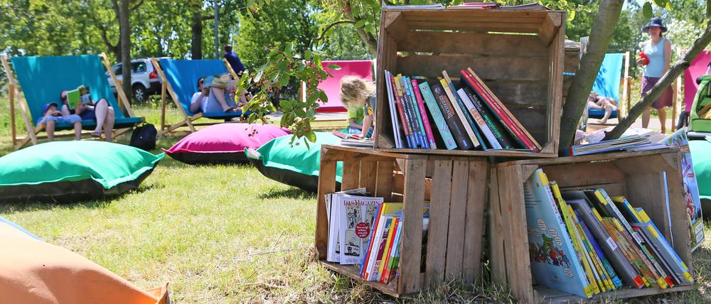 Bücherpicknick im Potsdamer Volkspark.