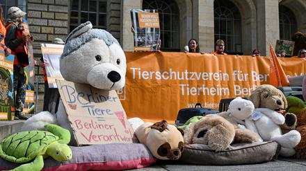 Direkt vor dem Landesparlament demonstrierten Tierschützer. 