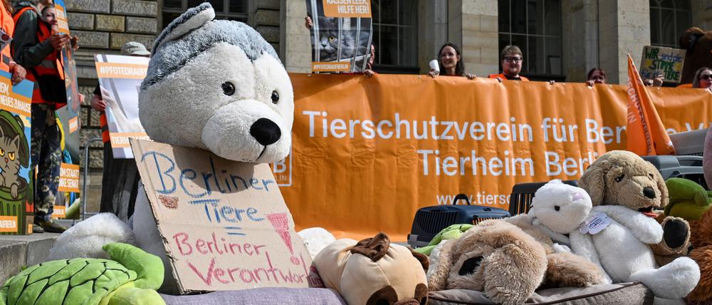 Direkt vor dem Landesparlament demonstrierten Tierschützer. 