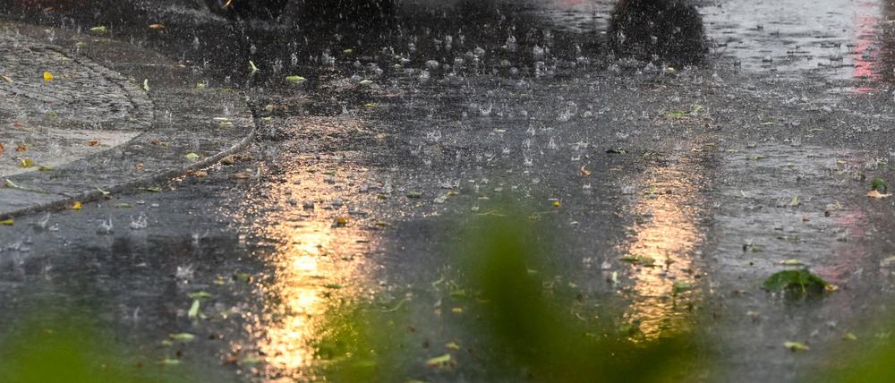 In Potsdam ist ein Mensch bei einem Unwetter lebensbedrohlich verletzt worden. (Symbolbild)