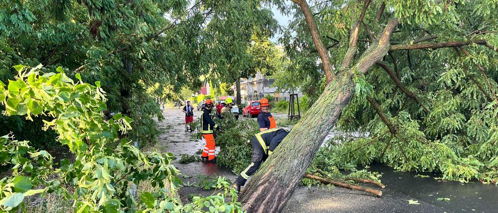 26.06.2025, Berlin: Einsatzkräfte der Feuerwehr arbeiten im Berliner Stadtteil Heiligensee an einem durch schwere Böen entwurzelten Baum. Foto: Jens Dudziak/dpa +++ dpa-Bildfunk +++