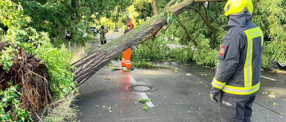 Einsatzkräfte der Feuerwehr arbeiten auf einer Straße, die durch einen durch schwere Böen entwurzelten Baum, blockiert ist.