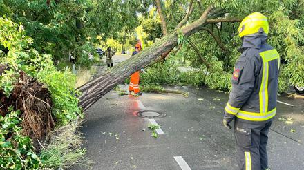 Am späten Nachmittag und Abend ziehen Unwetter über Teile Deutschlands.