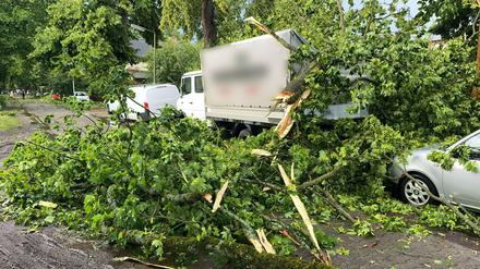 Ein Baum ist im Berliner Stadtteil Heiligensee durch schwere Böen auf Autos und einen Transporter gefallen.