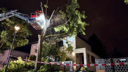 Der Sturm hat zu zahlreichen Schäden in der Hauptstadt geführt.