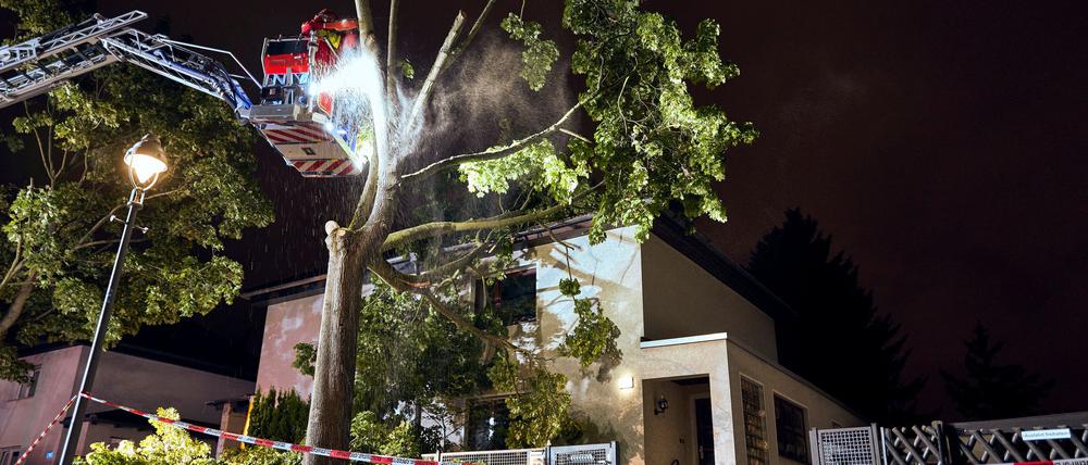 Der Sturm hat zu zahlreichen Schäden in der Hauptstadt geführt.