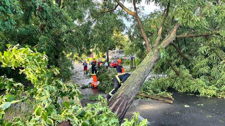 Die Aufräumarbeiten nach dem Unwetter dauern in Berlin und Brandenburg an.