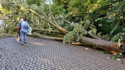 Bei dem Unwetter sind viele Bäume umgestürzt, das Betreten von Grünanlagen ist weiter gefährlich. 
