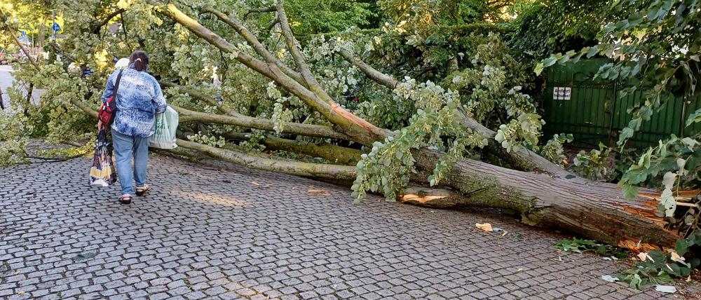 Bei dem Unwetter sind viele Bäume umgestürzt, das Betreten von Grünanlagen ist weiter gefährlich.