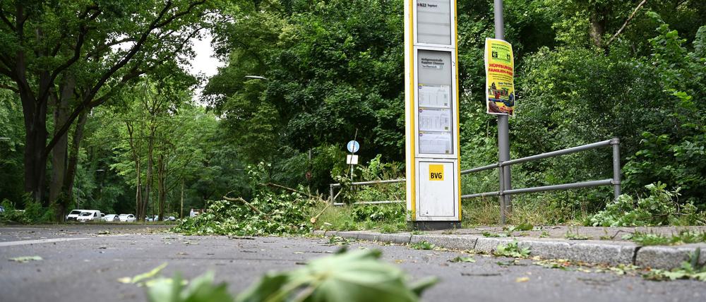 Die Schäden im Tegeler Forst sind erheblich.