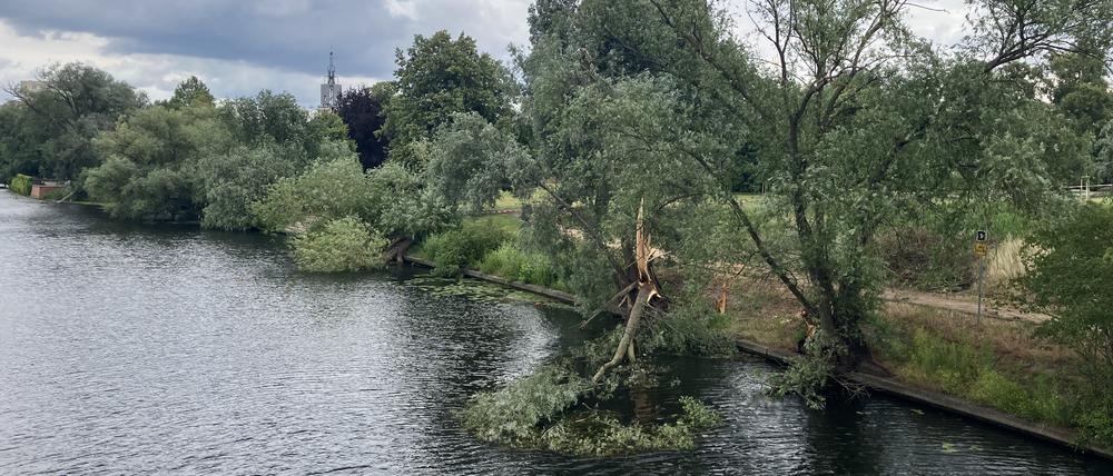 Auch auf der Potsdamer Freundschaftsinsel richtete das Unwetter Schäden an.