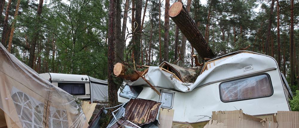Zahlreiche Bäume fielen auf dem Campingplatz in der Altmark bei Durchzug eines Unwetters um. Ein heftiges Unwetter zog am 26. Juni.