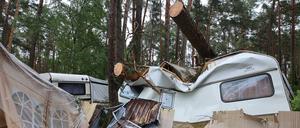 Zahlreiche Bäume fielen auf dem Campingplatz in der Altmark bei Durchzug eines Unwetters um. Ein heftiges Unwetter zog am 26. Juni.