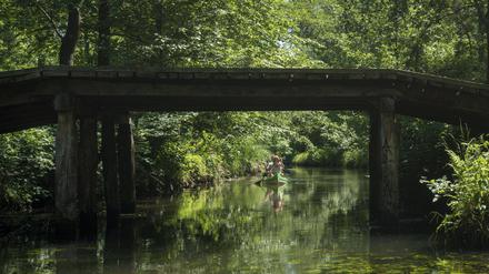 Der Spreewald (Symbolbild)