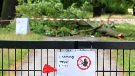 Im Neuen Garten kam es am Donnerstag zu einem Unwetterunfall.