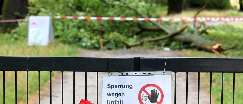 Im Neuen Garten kam es am Donnerstag zu einem Unwetterunfall.