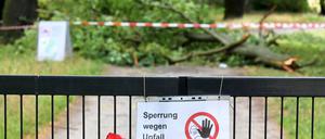Im Neuen Garten kam es am Donnerstag zu einem Unwetterunfall.